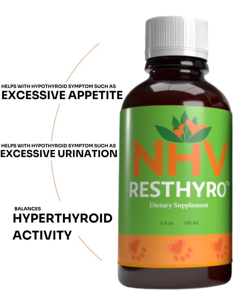 NHV Resthyro Supplement for Pets 100ml  image 1