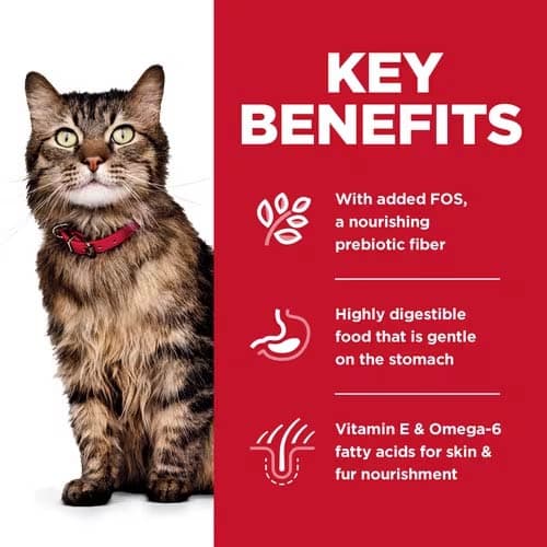Hill's Science Diet Feline Adult Sensitive Stomach & Skin 1.58kg Dry Cat Food image 3