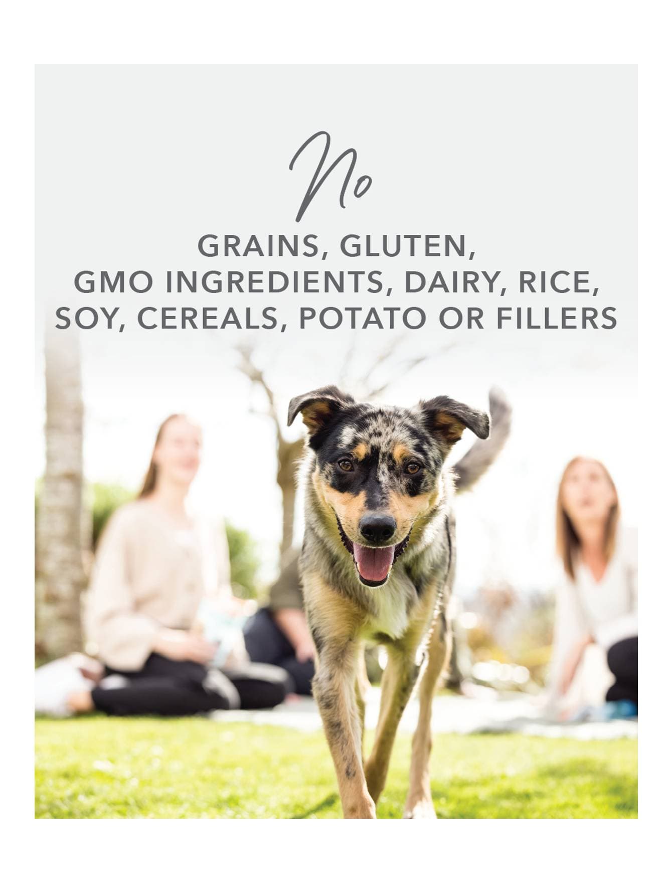 K9 Natural Dog 170g Lamb Feast Canned Wet Dog Food image 4