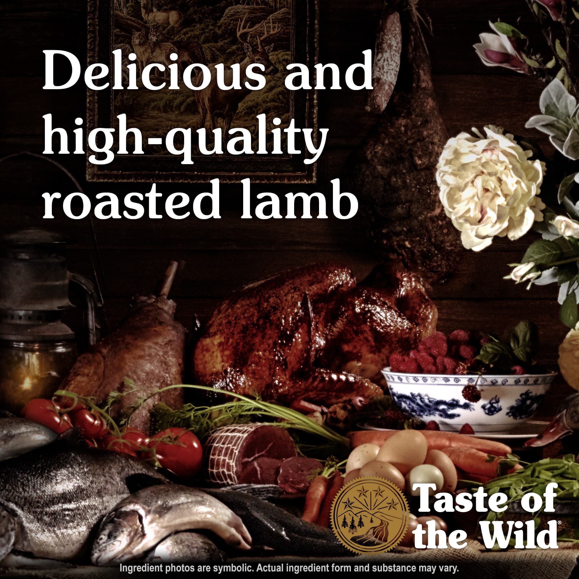 Taste of the Wild Dog 12.2kg Sierra Mountain Roasted Lamb Dry Dog Food image 4