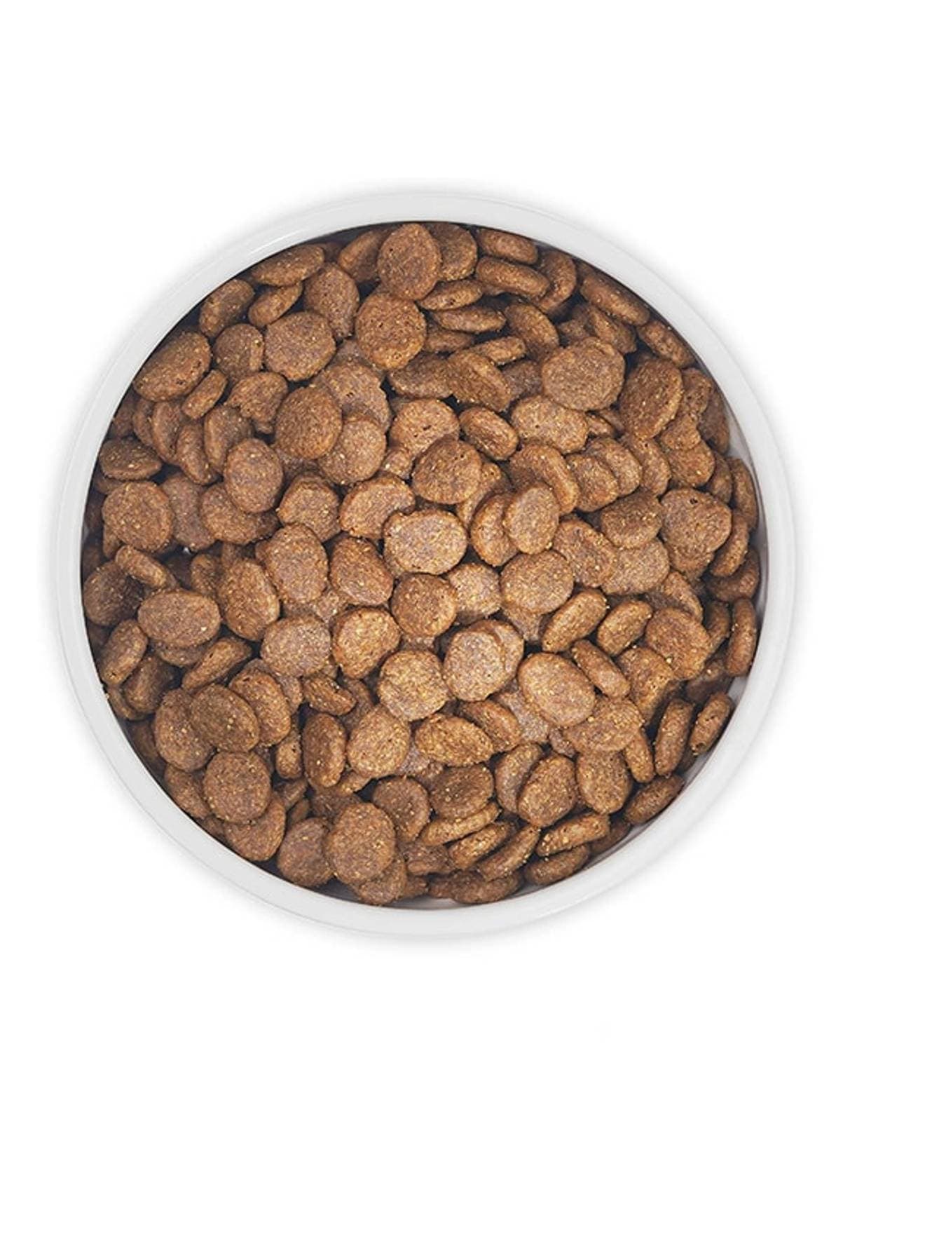 Zignature 1.8kg Salmon Formula Dry Dog Food image 2