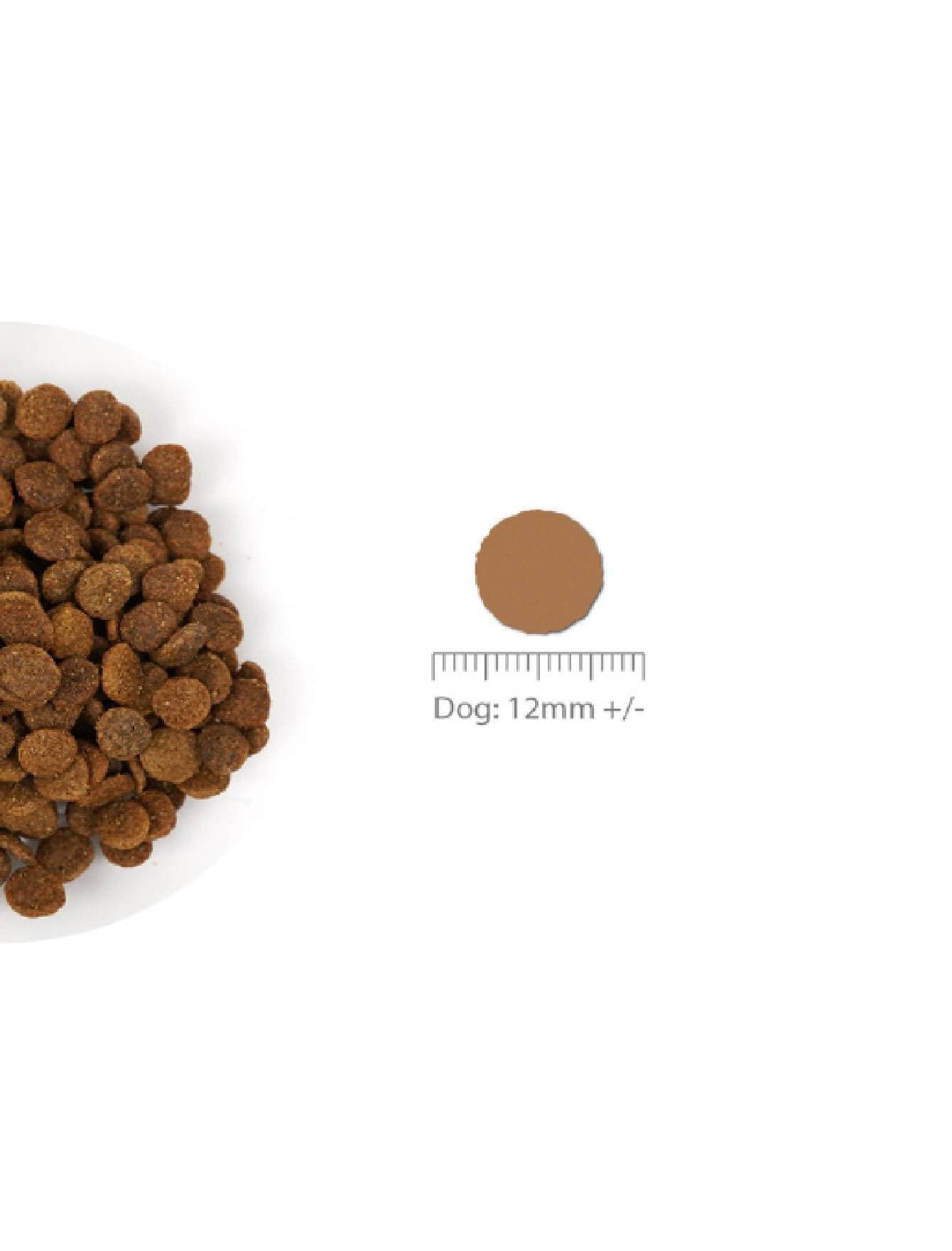Nurture Pro Dog Nourish Life 1.8kg Slow-cooked Lamb For Adult Dog Dry Dog Food image 4