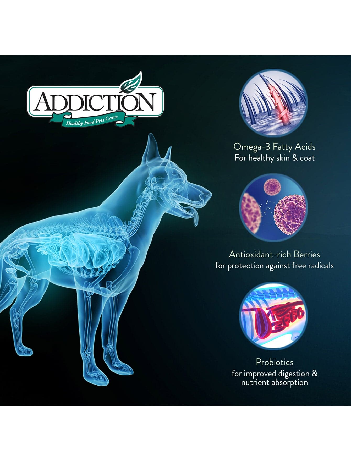 Addiction Dog 60g Grain Free Le Lamb Dry Dog Food (Sample) image 3