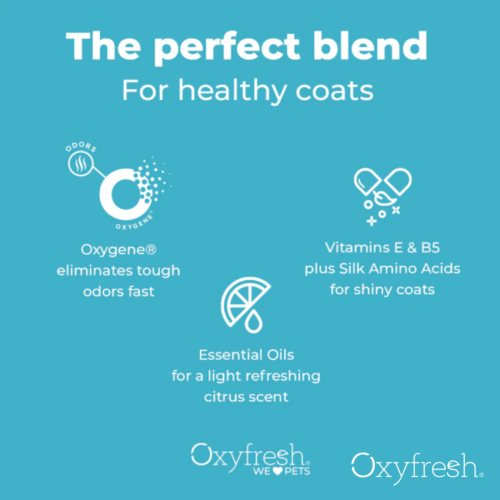 Oxyfresh 237ml (8oz) Advanced Pet Shampoo Sensitive Skin Formula for Dogs & Cats image 5