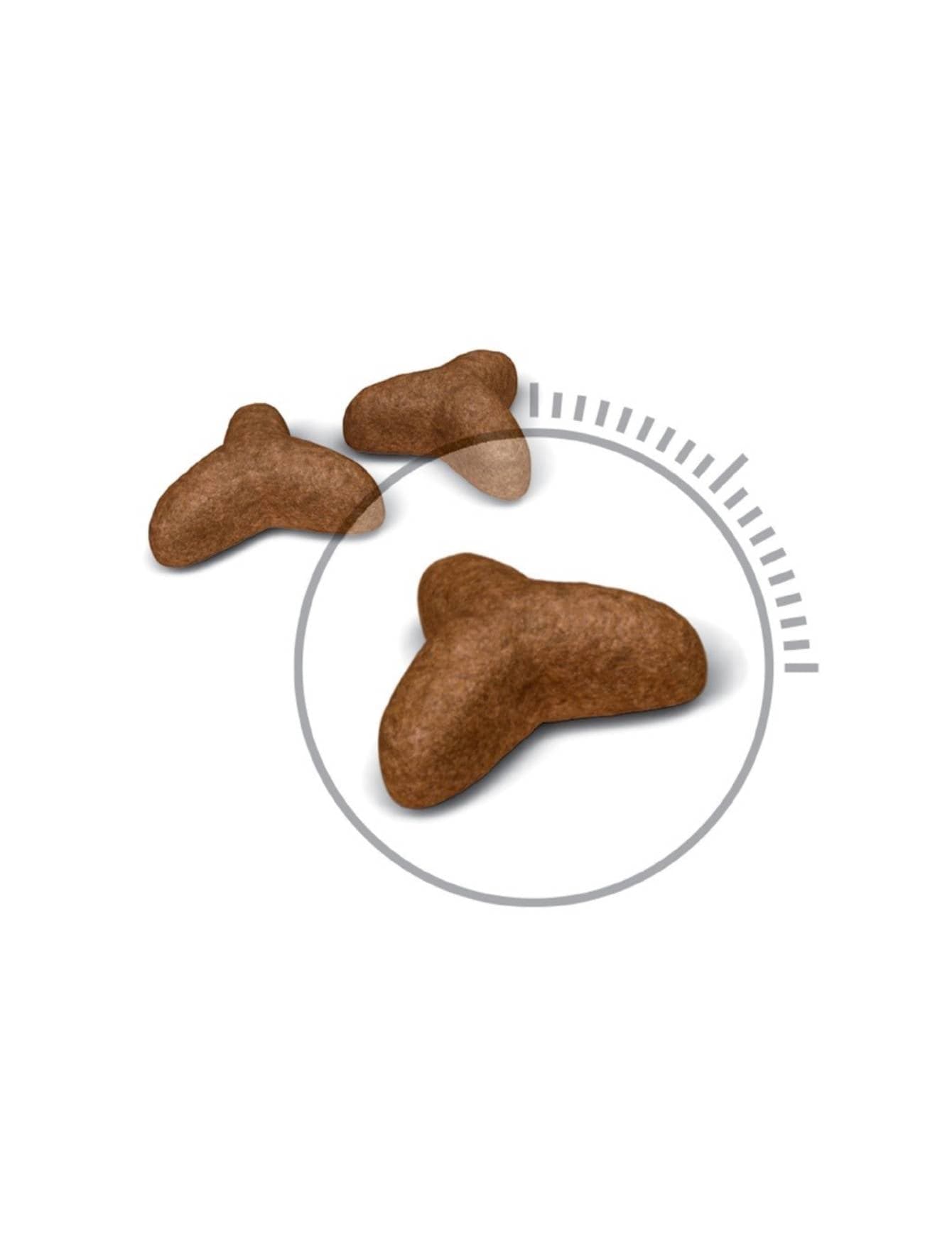 Royal Canin Cat 1.5kg Light Weight Care Dry Cat Food image 3