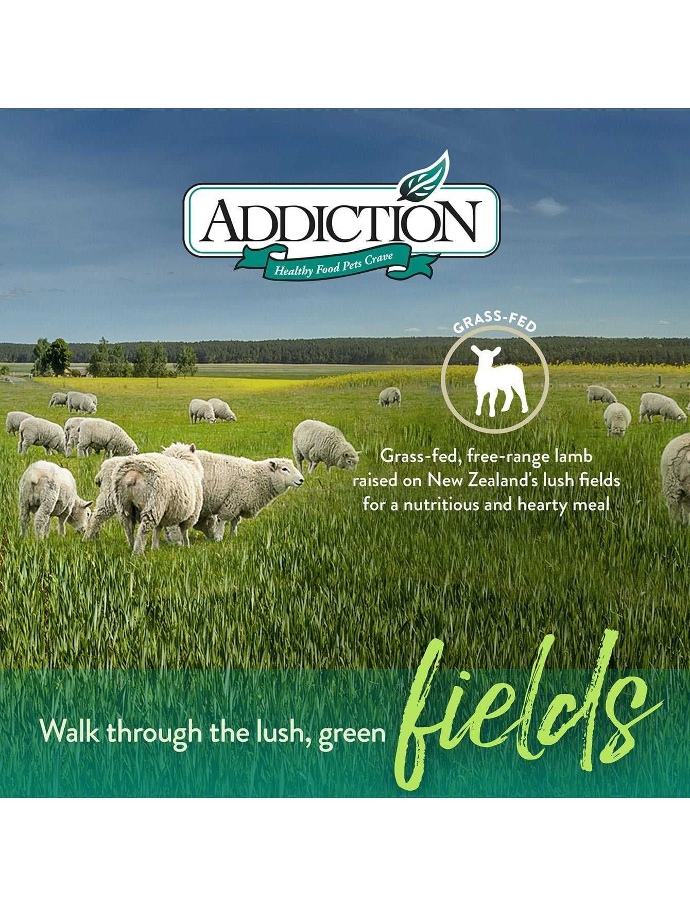Addiction Dog 60g Grain Free Le Lamb Dry Dog Food (Sample) image 2