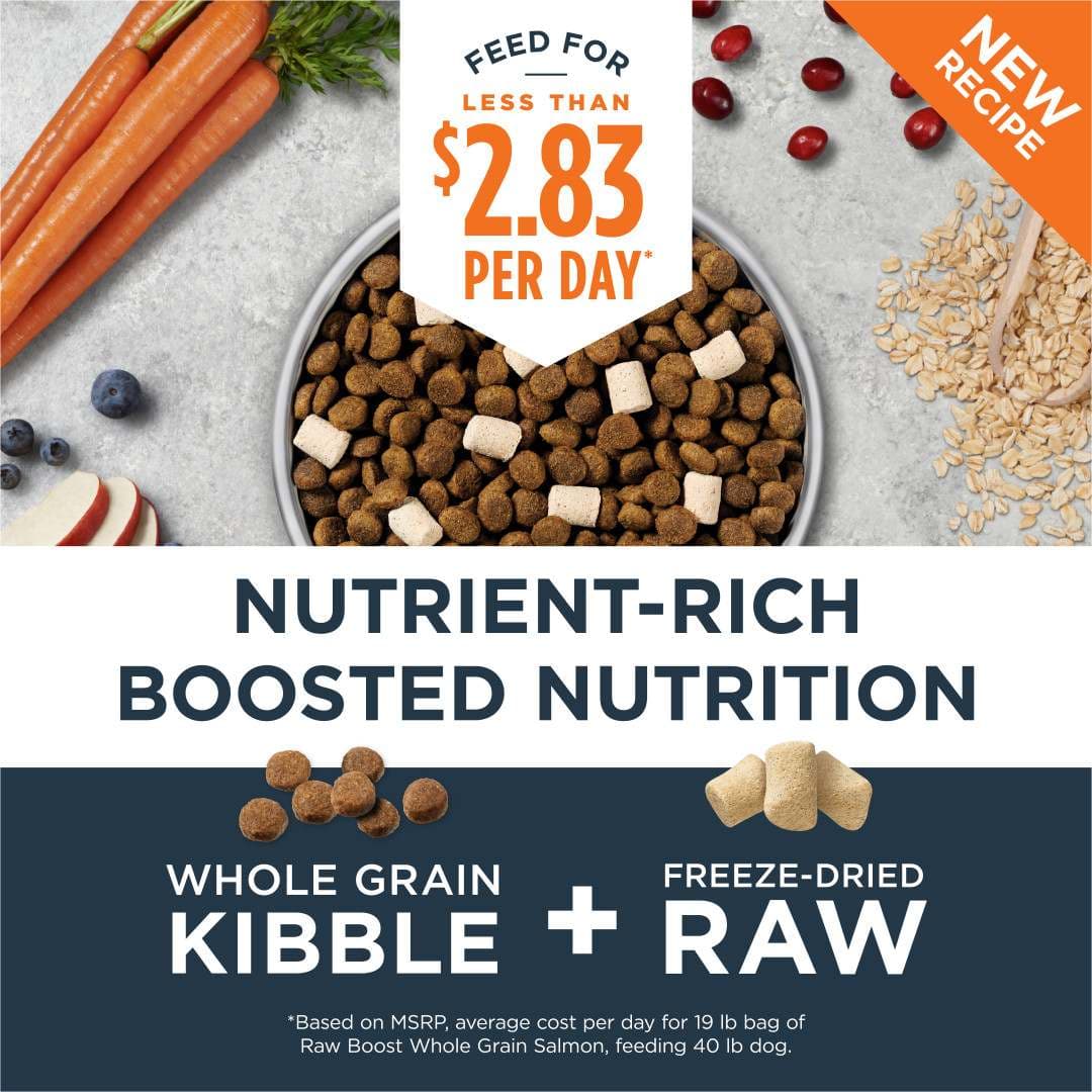 Instinct Raw Boost Dog 19lb Whole Grain Salmon & Brown Rice Dry Dog Food image 3