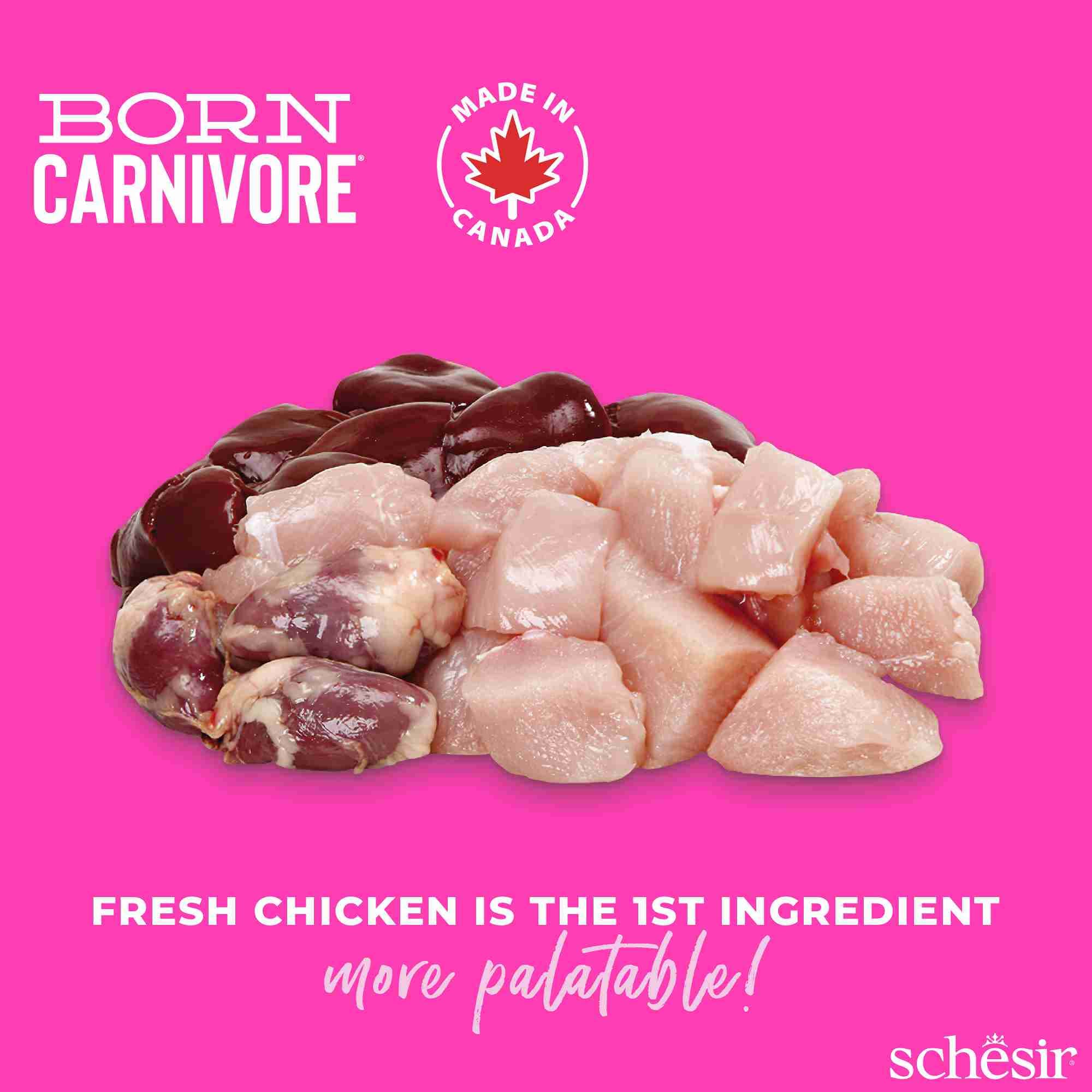 Schesir Cat 255g Born Carnivore Chicken with Egg Baby Cat Baked Dry Recipe Dry Cat Food image 5
