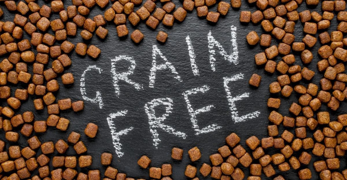 How to Choose the Best Grain-Free Dog Food for Allergies: A Real-World Guide for Pet Parents