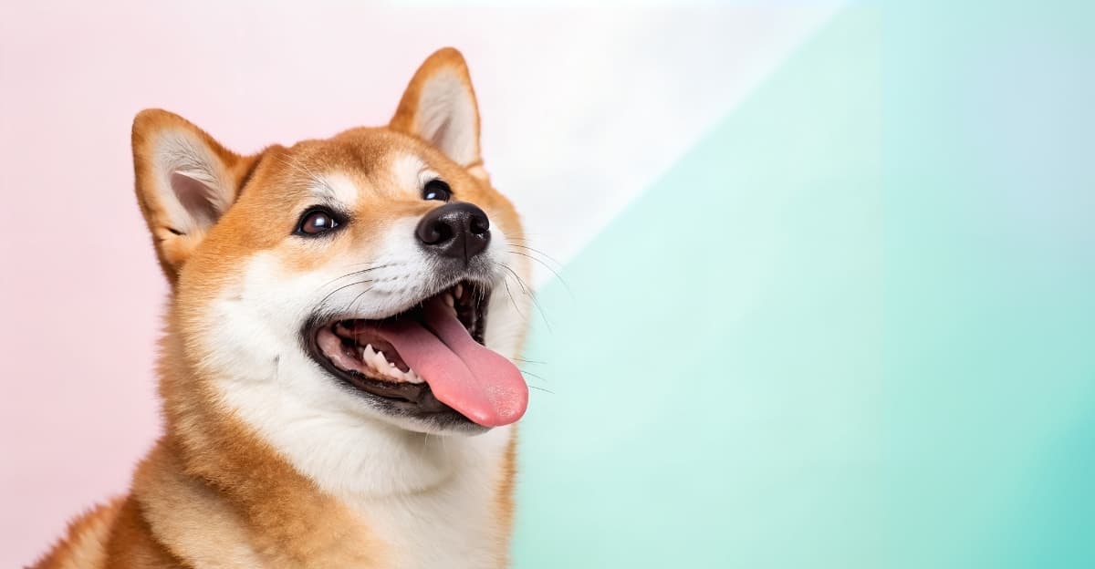 Do Dogs Actually Smile? The Truth Behind That Happy Face