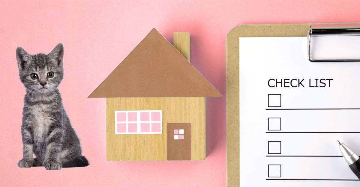 Preparing for Your New Kitten: Everything You Need Before They Arrive