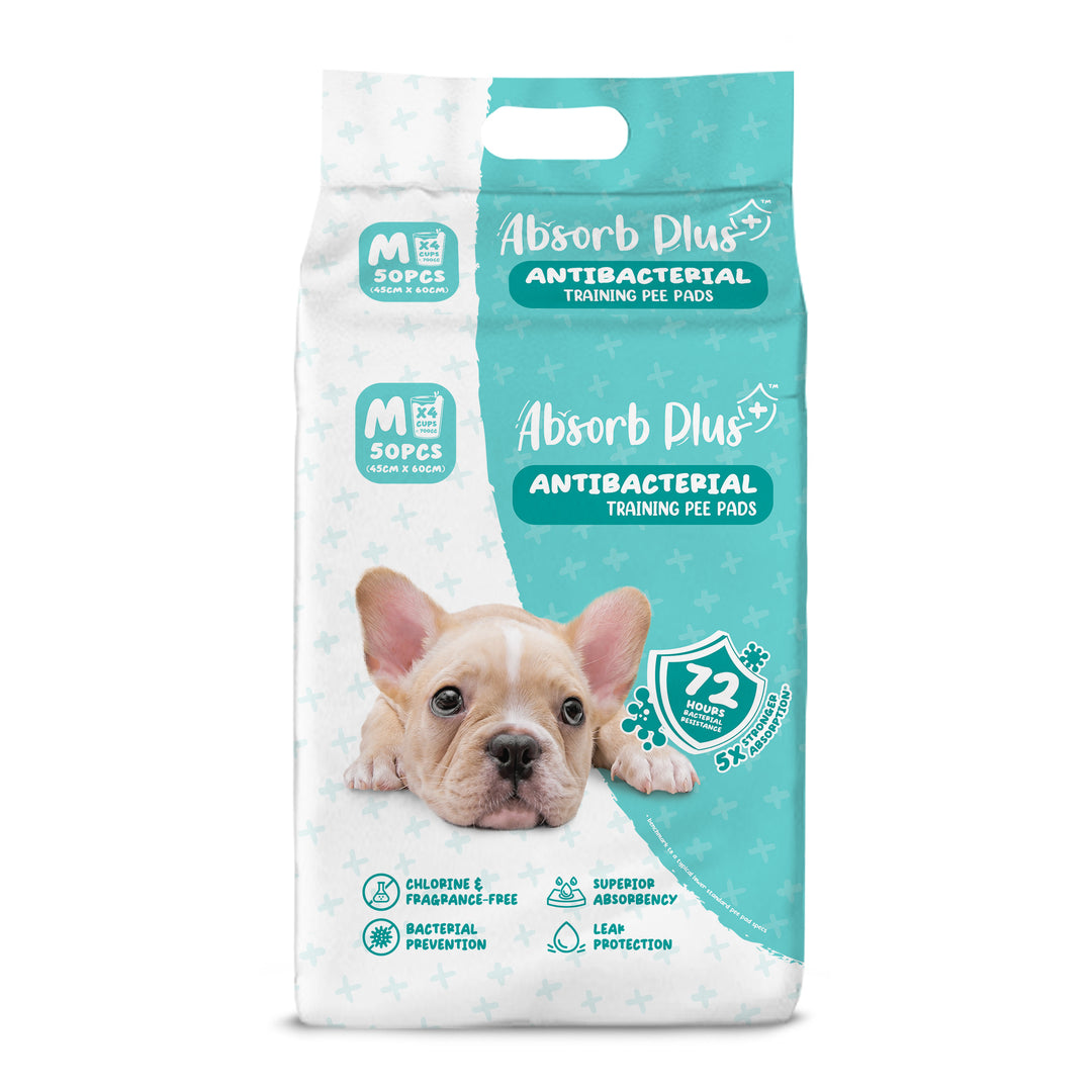 Absorb Plus 50pcs (medium) 45x60cm Antibacterial Training Pee Pad
